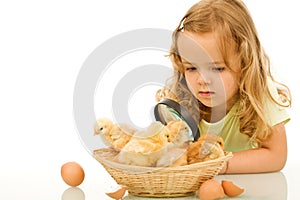 Little girl studying easter chickens