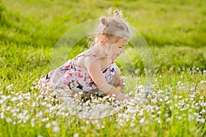 Happy little girl in summer dress with pigtails in a green field of summer grass with flowers