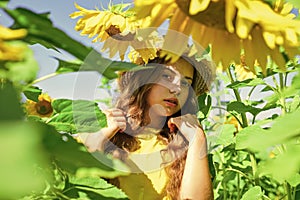 Little girl sunflowers field blue sky background, agriculture concept