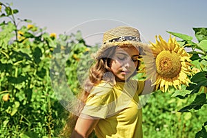 Little girl sunflowers field blue sky background, childhood at village