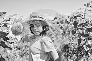 Little girl sunflowers field blue sky background, childhood at village