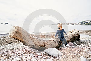 Little girl in sunglasses sits on a snag on the beach and looks on it