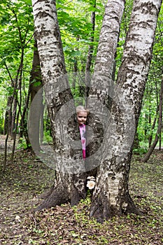 Little girl with tails hiding behind the trunk of birch