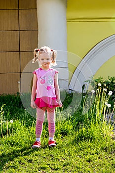 Little girl with tails stands on lawn