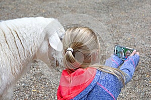 Little Girl Taking a Selfie with Goat