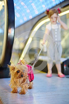 Little girl talks by cell phone and held on leash