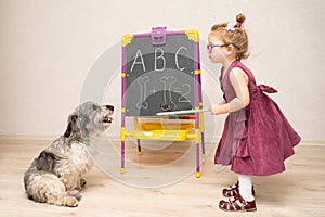 A little girl teacher in a dress and glasses teaches a dog to read and count. She writes letters and numbers on the