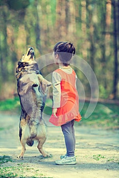 The little girl teaches the dog to perform the command