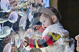 A little girl touching the glass of a fish tank at an aquarium, with tropical fish swimming