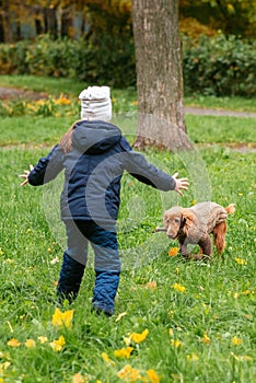 Little girl trains dogs on the street