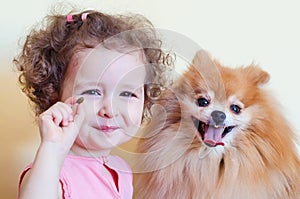 Little girl trains pomeranian spitz. beautiful little baby with curls gives to fluffy dog food, yummy. pet obedience. happy childh