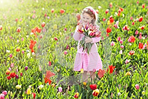 Little girl in tulip flower garden