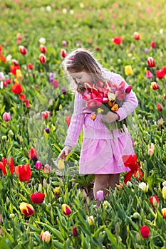 Little girl in tulip flower garden