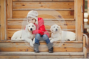 A little girl with two puppy Golden Retriever.