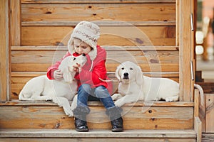 A little girl with two puppy Golden Retriever.