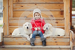 A little girl with two puppy Golden Retriever.