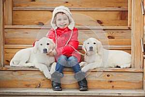 A little girl with two puppy Golden Retriever.