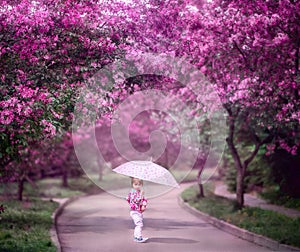 Little girl under blooming cherry tree