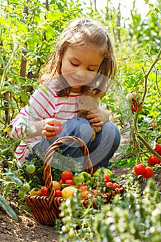 Little girl with vegetable basket