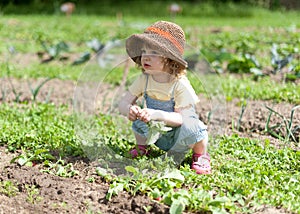 Little girl in vegetable patch