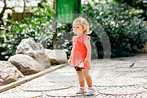 Little girl waking in zoo. Cute toddler child watching animals and birds, family weekend activity in summer.