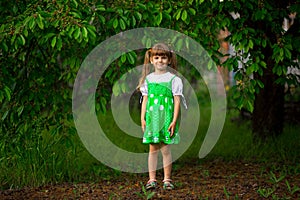 Little girl walk in green garden in summer day