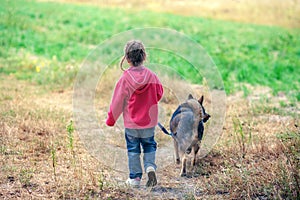 Little girl walking with dog in the field