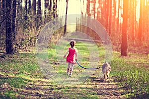 Little girl with walking dog