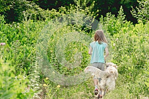 Little girl walking dog on meadow