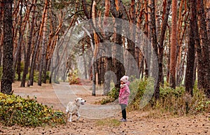 Little girl walking with dog in pine wood