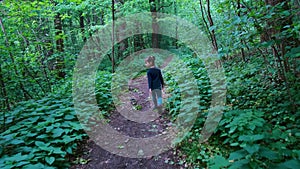 Little girl walking on a footpath, alone in dark, spooky forest