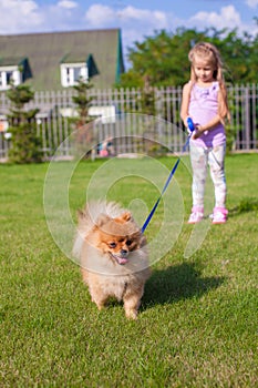 Little girl walking with her ??dog on a leash