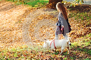 Little girl walking with her little west highland white terrier in a park. Autumn, lifestyle. Happy child with pet in autumn