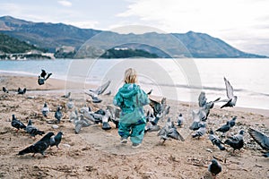 Little girl walks along the beach among a flock of pigeons. Back view