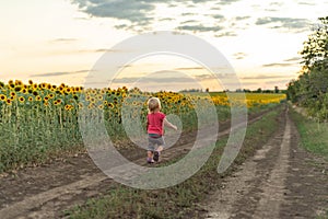 A little girl walks along a dirt road next to a field of sunflowers