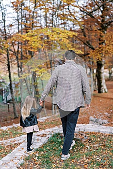 Little girl walks along a paved path in the autumn forest, holding her dad hand. Back view