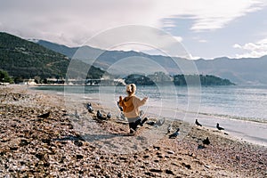 Little girl walks along a pebble beach among pigeons. Back view