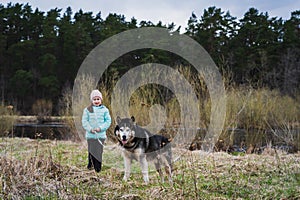 A little girl walks with a husky dog in nature in the forest near Pirita river in the spring