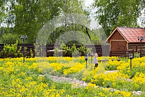 Little girl walks in park overgrown with dandelions