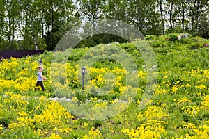 Little girl walks in park overgrown with dandelions