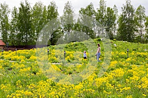 Little girl walks in park overgrown with dandelions with mother