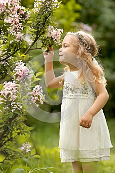 Little girl  walks in the spring botanical garden where lilac blossoms