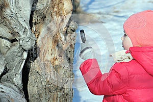 Little girl in warm winter clothes with a magnifying glass in her hand investigate unusual twisted tree trunk. Winter outdoor kids