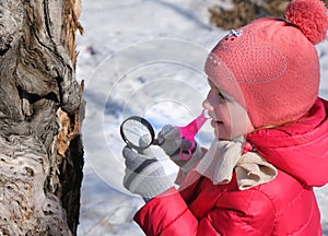 Little girl in warm winter clothes with a magnifying glass in her hand investigate unusual twisted tree trunk. Winter outdoor kids