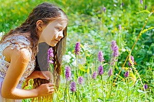 little girl watching a bee pollinate wild flowers in a field