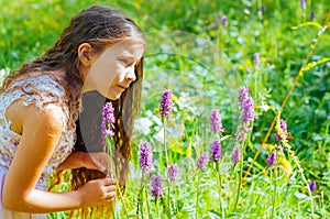 little girl watching a bee pollinate wild flowers in a field photo