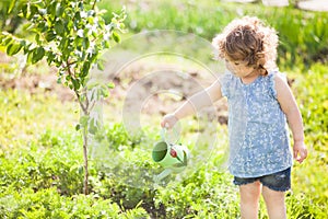 The little girl with the watering can in the garden