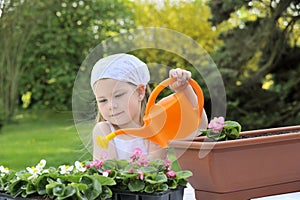 Little girl watering flowers