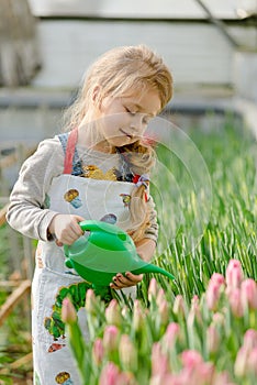 Little girl watering flowers in a greenhouse.