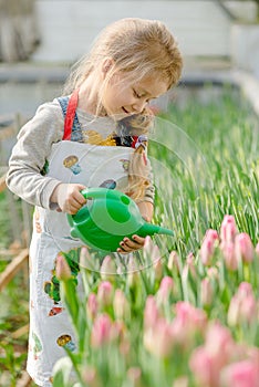 Little girl watering flowers in a greenhouse